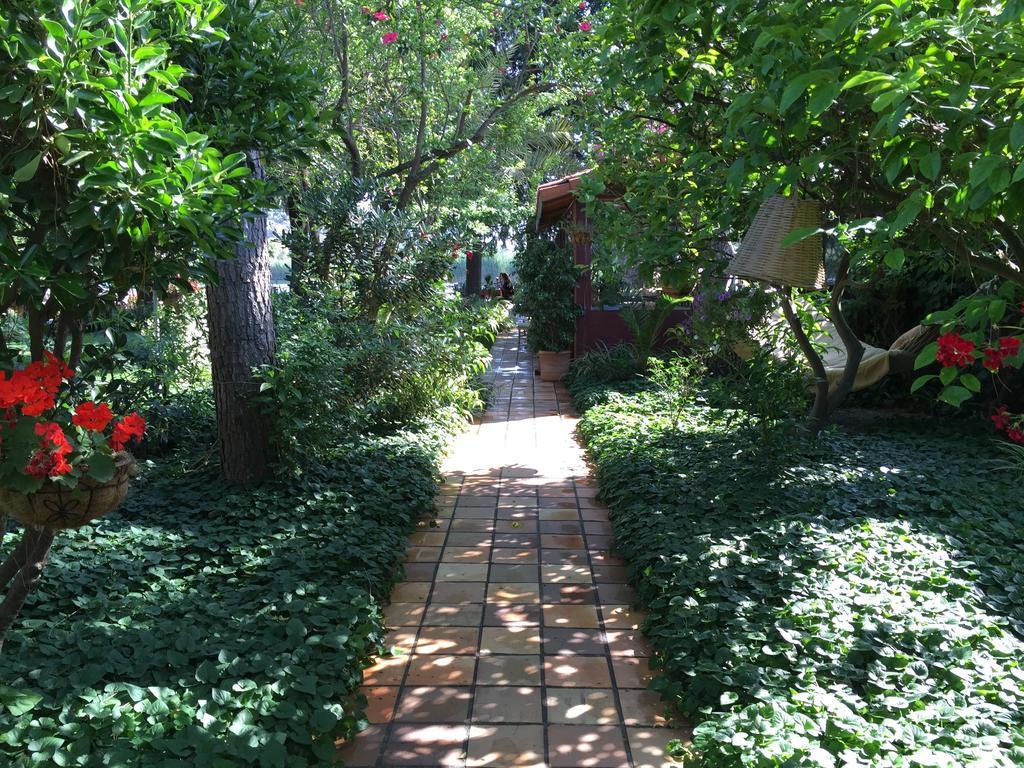 Guest house Happy Caretta Dalyan