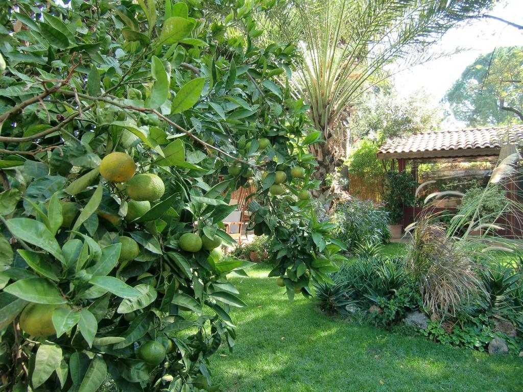 Happy Caretta Guest house